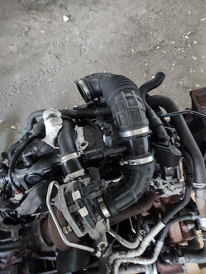 Motor Ford Transit 2.0