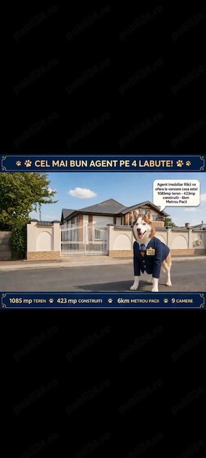 Particular  Dragomirești deal 355 mp  util teren 1085 mp intrare in sat  - imagine 3