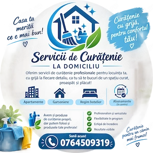 Curatenie la domiciliu