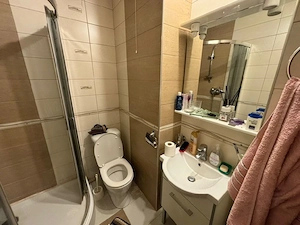 Apartament 2 camere Aleea Teilor - imagine 5