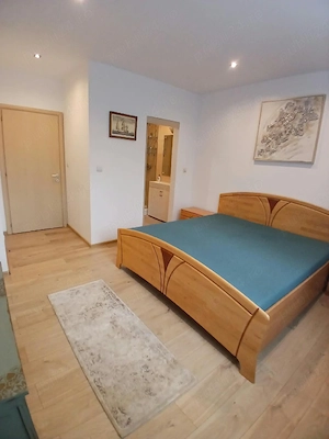 Proprietar închiriez casa Tunari - strada Paris  - imagine 4