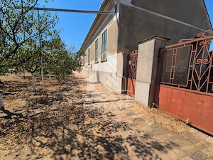 Doua case de vanzare cu 2533 mp teren, localitatea Pesac, Timis