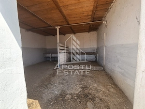 Doua case de vanzare cu 2533 mp teren, localitatea Pesac, Timis - imagine 21