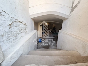 Doua case de vanzare cu 2533 mp teren, localitatea Pesac, Timis - imagine 19