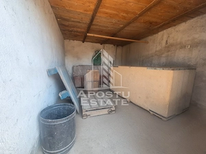 Doua case de vanzare cu 2533 mp teren, localitatea Pesac, Timis - imagine 20