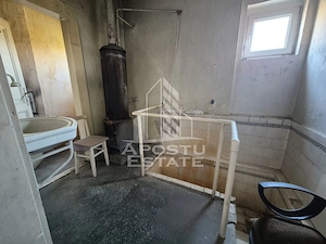 Doua case de vanzare cu 2533 mp teren, localitatea Pesac, Timis - imagine 16