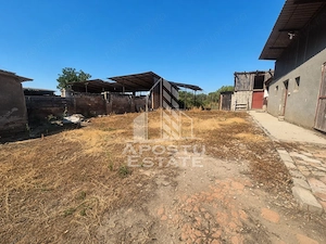 Doua case de vanzare cu 2533 mp teren, localitatea Pesac, Timis - imagine 23