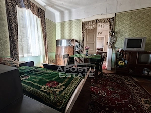 Doua case de vanzare cu 2533 mp teren, localitatea Pesac, Timis - imagine 13