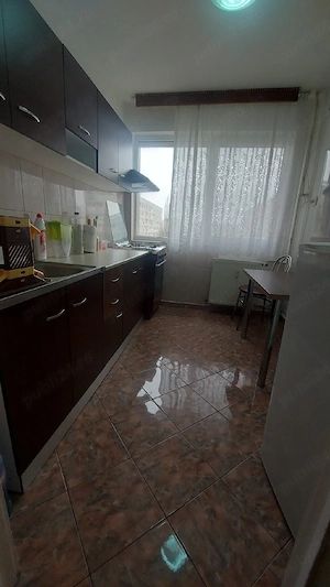Baba Novac Park Lake apartament 2 camere  - imagine 5