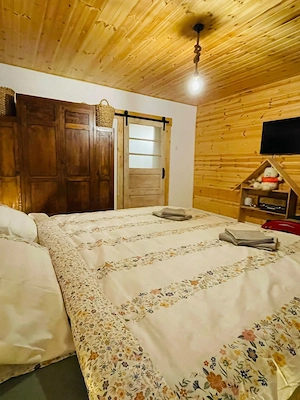 Casa de vacanta Arpasu de Jos - imagine 5