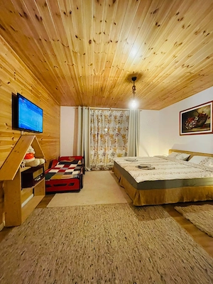 Casa de vacanta Arpasu de Jos - imagine 6