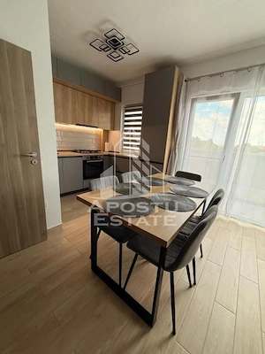 Apartament cu 2 camere de închiriat- centrala proprie - Buziasului. - imagine 6