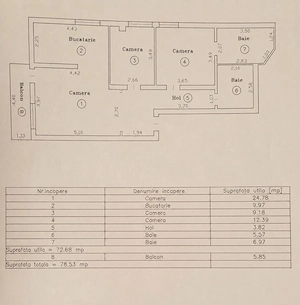 Apartament frumos și luminos cu 3 camere Torontal-Aradului - imagine 18