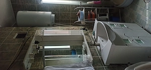 Vând apartament 2 camere in Alexeni - imagine 2