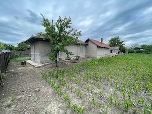 Vanzare 1700mp teren la 40km de Bucuresti cu casa batraneasca Cosereni Ialomita - imagine 3