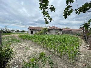 Vanzare 1700mp teren la 40km de Bucuresti cu casa batraneasca Cosereni Ialomita - imagine 6