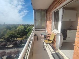Proprietar - Apartament 1 camera, 40 mp - Zona Complex, Bd. Corneliu Coposu Complex Studențesc, Timi - imagine 5