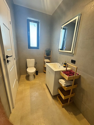Casa individuala Comuna Berceni - imagine 6