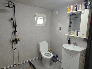 Vând casa în Căpușu Mare și teren  - imagine 5
