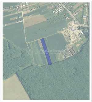 Teren 9247 mp - Ghermanesti - Snagov - imagine 2
