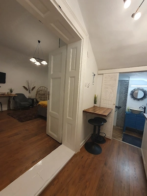 Apartament cu 1 camera central  - imagine 10