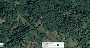 Teren si casa in Tisa, Hălmagiu, jud. Arad - imagine 4