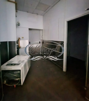 Spatiu cu destinatie alimentatie publica - imagine 10
