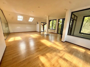 Casa premium de inchiriat pentru birouri – zona centrala, Sector 1