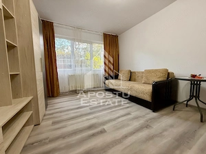 Apartament cu o camera de vanzare, zona Sagului, Timisoara - imagine 2