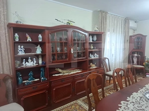 PROPRIETATE DEOSEBITĂ ÎN LUNGULEȚU – CASĂ TIP CONAC, 12 CAMERE, 1.000 MP TEREN - imagine 8
