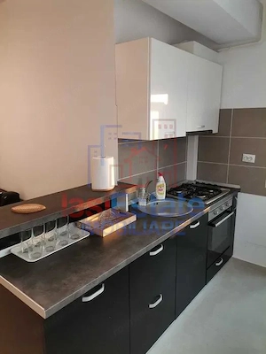 Apartament 2 Camere Pacurari - Petru Poni - imagine 3
