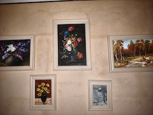 Vanzare vaslui, diverse obiecte