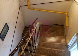 Apartament Elegant in Vilă zona Gradina Botanica-Splaiul Independenței - imagine 19