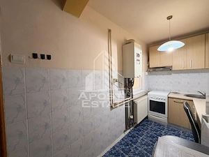 Apartament cu 1 camera de vanzare, zona Lipovei, Timisoara - imagine 5