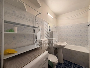 Apartament cu 1 camera de vanzare, zona Lipovei, Timisoara - imagine 10