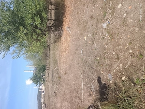 Teren de vânzare în Rovinari 