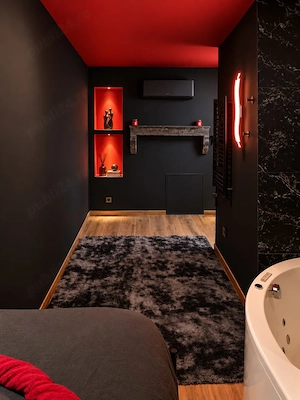 Regim Hotelier Lux - imagine 3