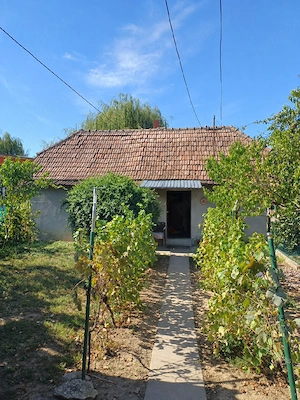   Casă in zonă centrală - imagine 4
