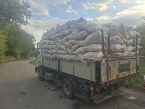 Mere țuică, industrie