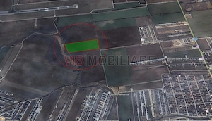 Teren intravilan 56.219 mp – Tunari, zona rezidentiala - imagine 2
