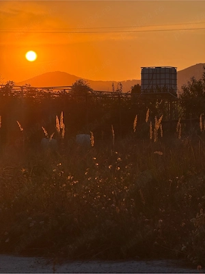 Teren intravilan 863 mp, deschidere 25m, Săvinești (Neamț)