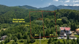 Teren intravilan, 3000 mp, Dâmbu Morii - imagine 7
