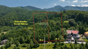 Teren intravilan, 3500 mp, Dâmbu Morii