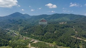 Teren intravilan, 3000 mp, Dâmbu Morii - imagine 10