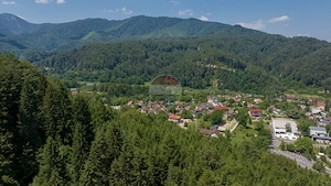 Teren intravilan, 3000 mp, Dâmbu Morii - imagine 12
