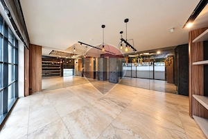 Spațiu comercial premium - 179mp, terasa 30mp - imagine 3