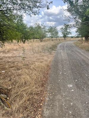 5000 mp langa Padure - imagine 4