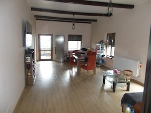 Casa, parter, Peciu Nou, 5 camere, 233mp, teren 780mp