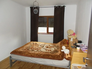 Casa, parter, Peciu Nou, 5 camere, 233mp, teren 780mp - imagine 12