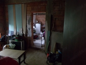 Casa, parter, Peciu Nou, 5 camere, 233mp, teren 780mp - imagine 19